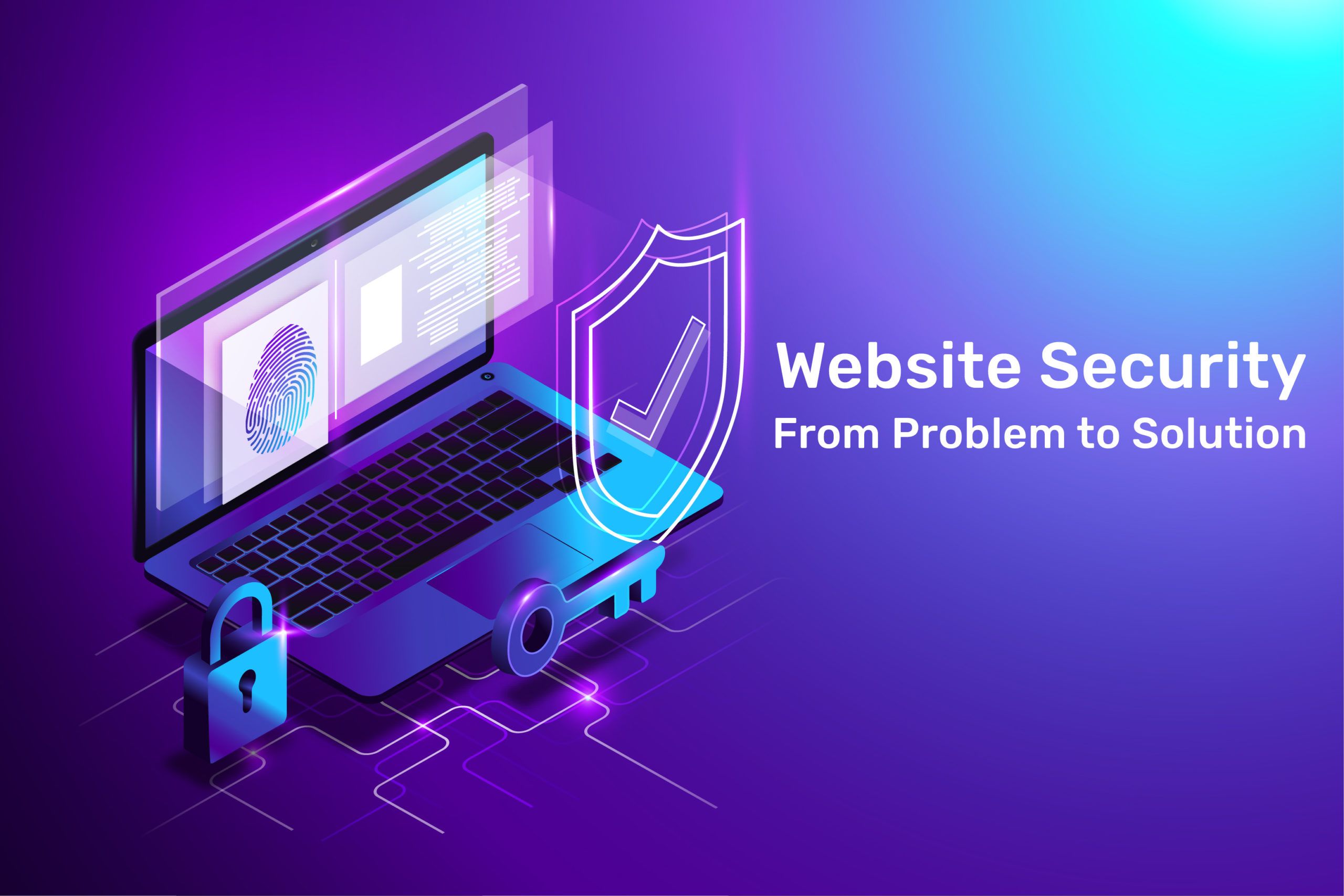 Securitatea Website